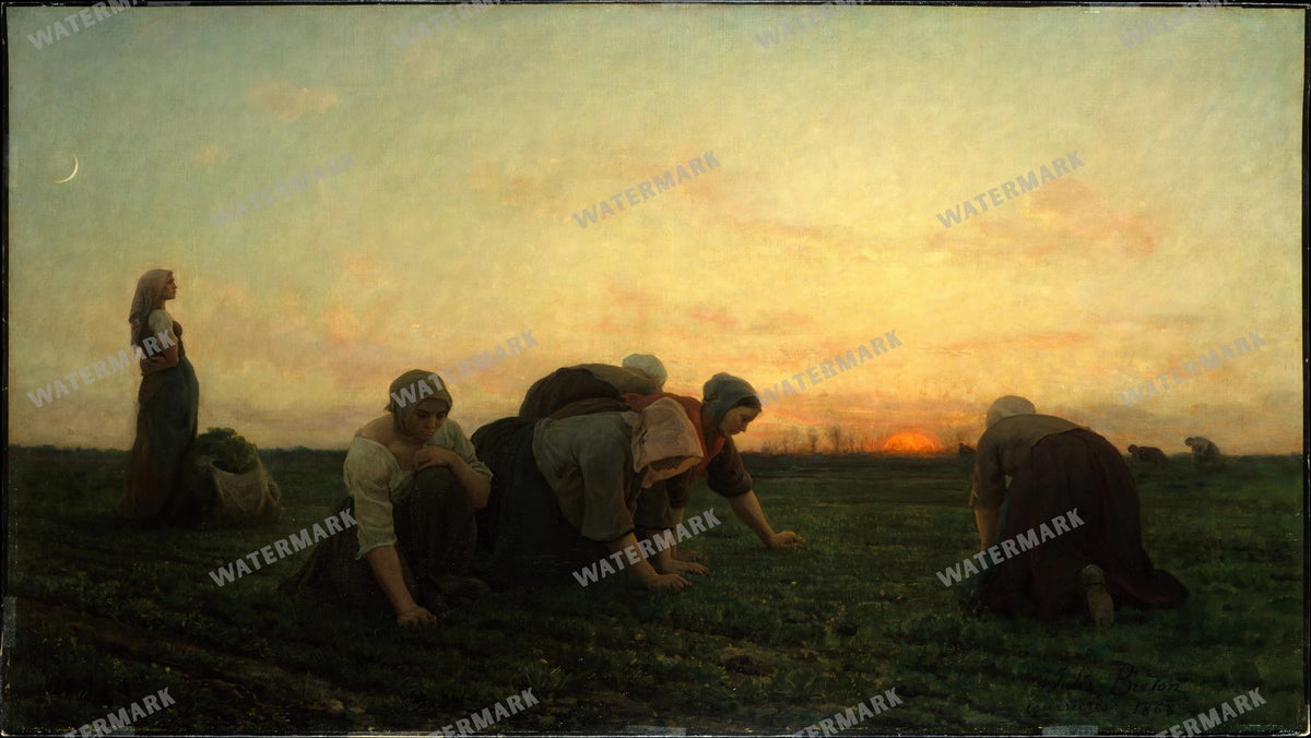 Wall Art Vintage Paintings