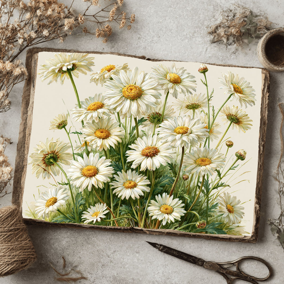 Meadow Daisy Botanical Cluster