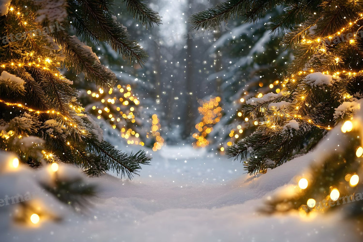 Snowy Forest Backdrop Images