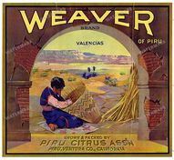 Ads Vintage Prints