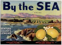 Ads Vintage Prints