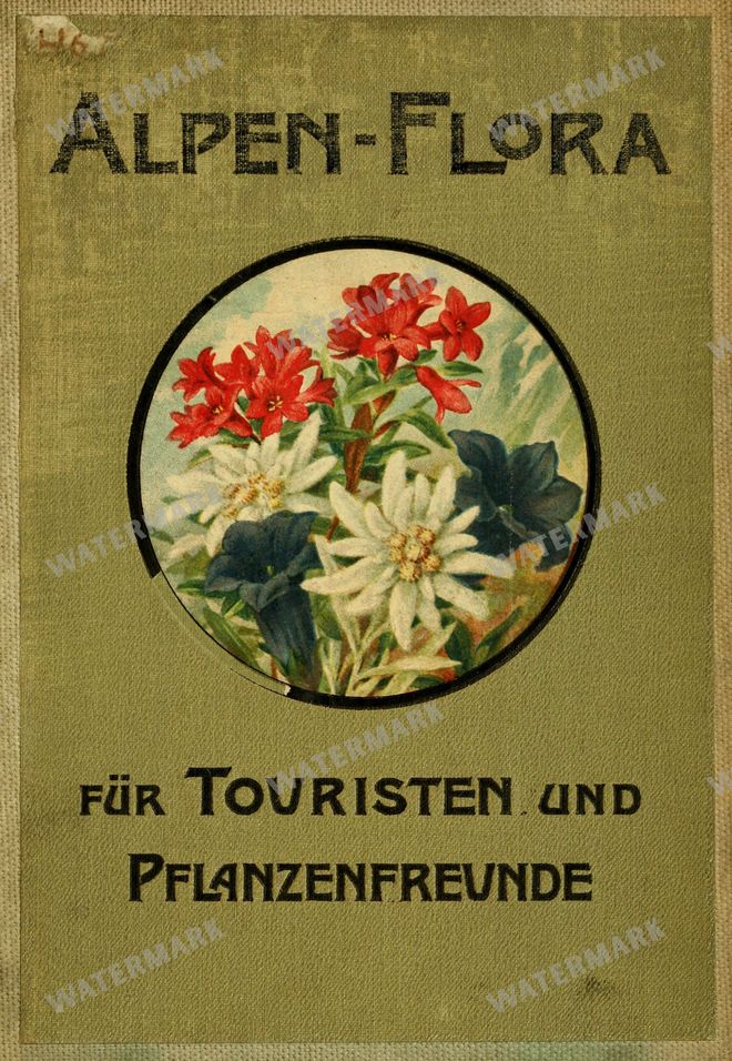 Botanical Alpen-Flora Vintage Prints