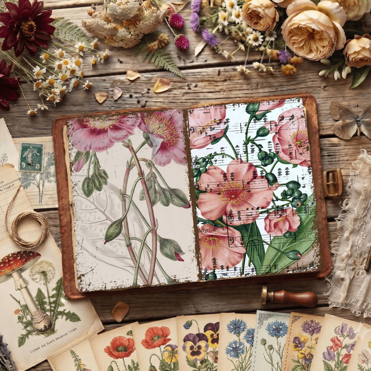 Botanical Illustrations Digital Papers