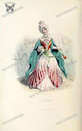 Botanical Vintage Prints