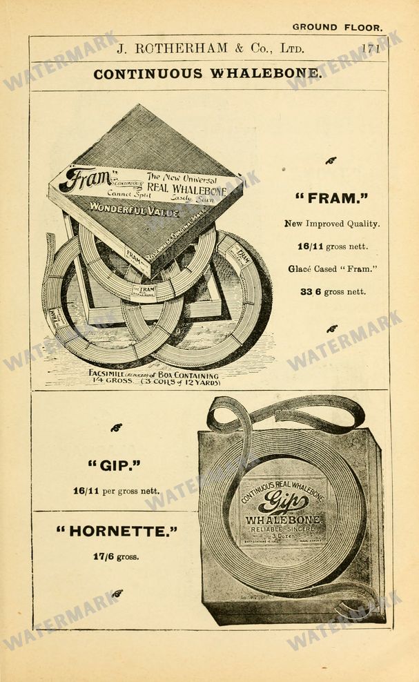 Fashion Vintage Prints