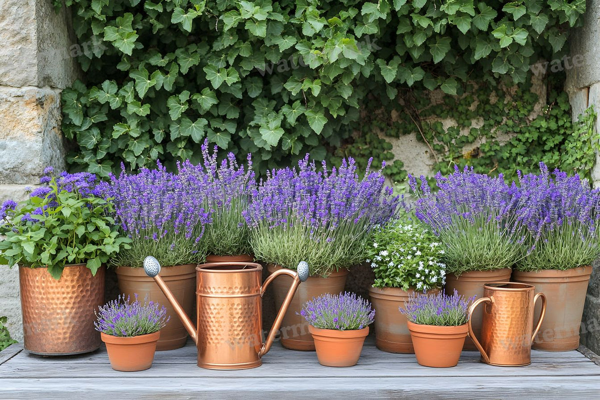 Meticulouvictorian Garden Backdrop Images