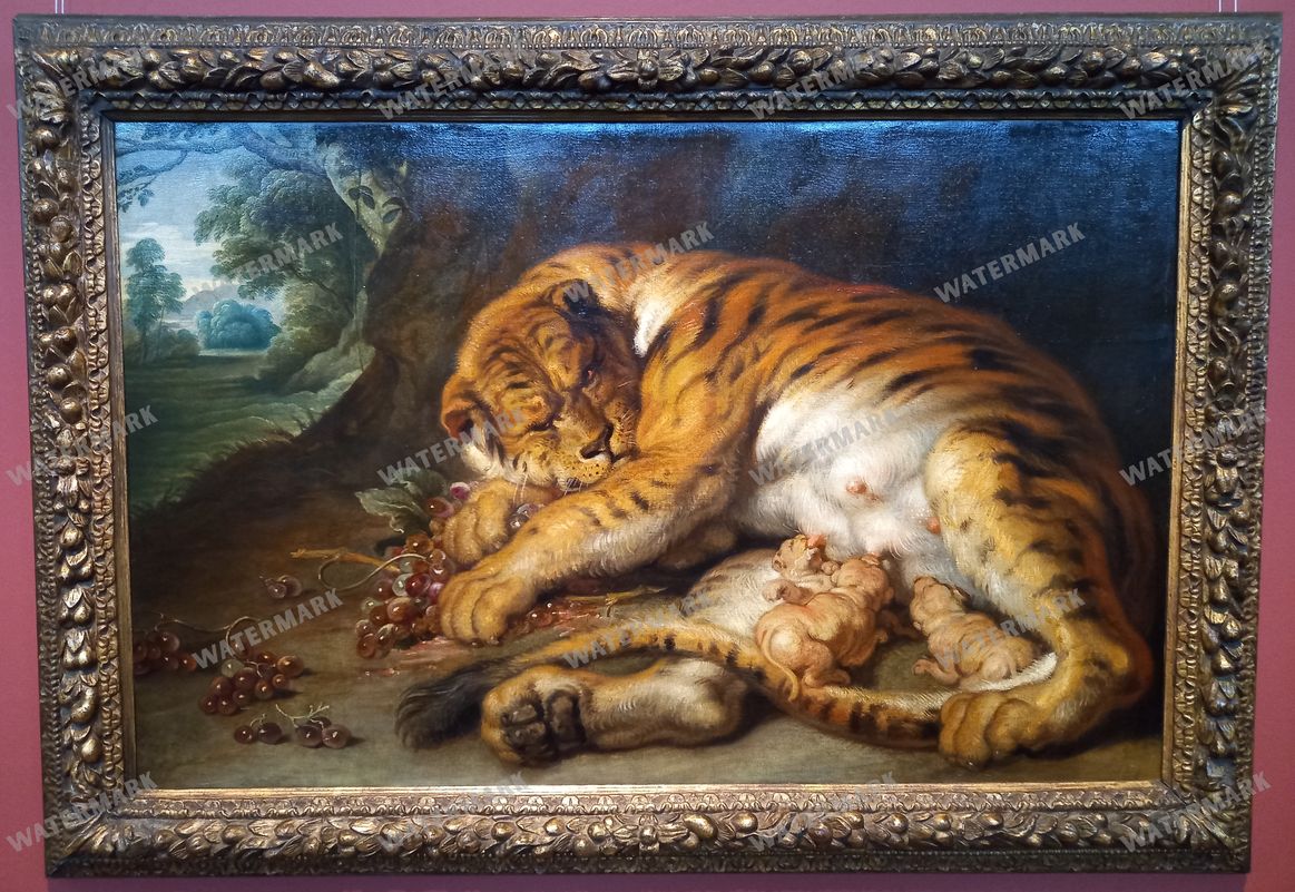 Peter Paul Rubens Vintage Paintings