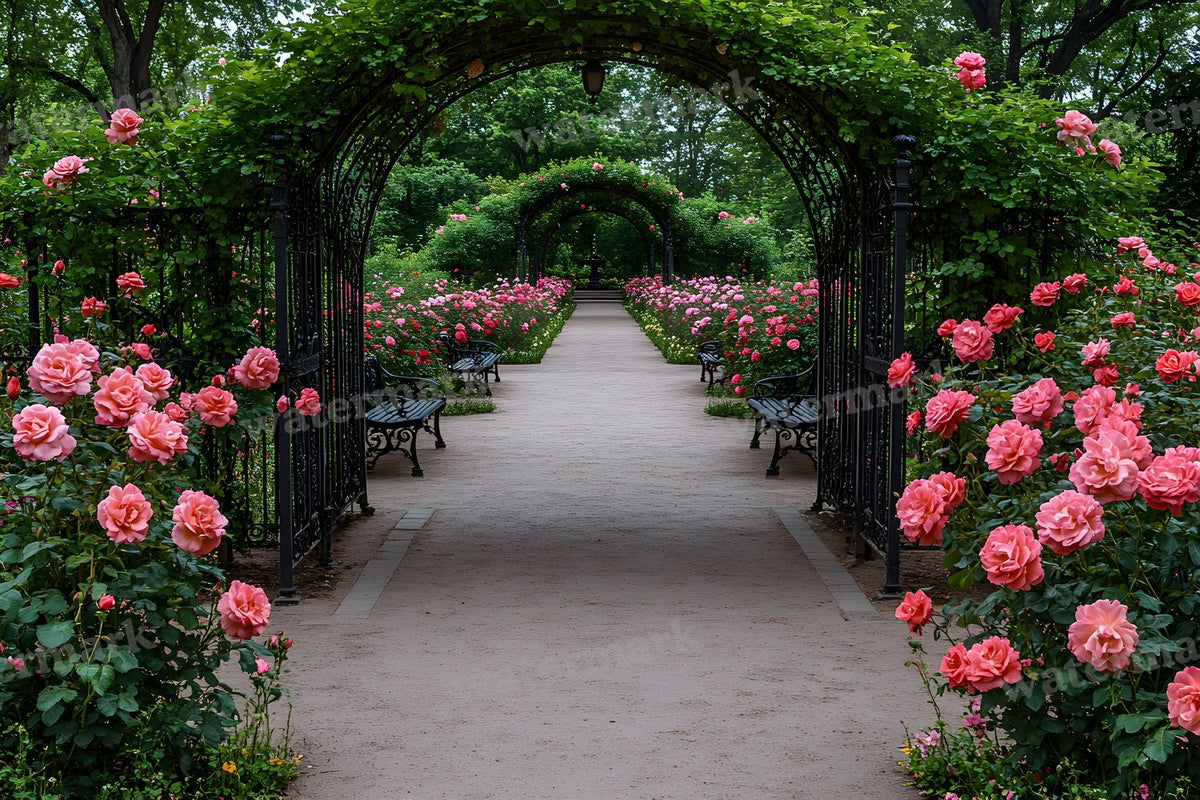 Victorian Rose Garden Enclosure Backdrop Images