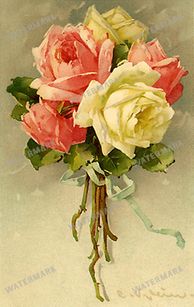 Vintage Roses Vintage Prints