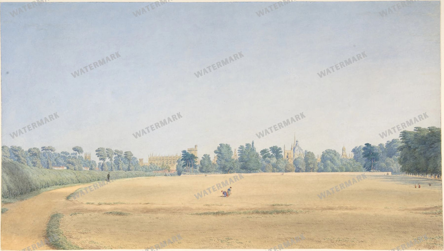 Wall Art Vintage Paintings