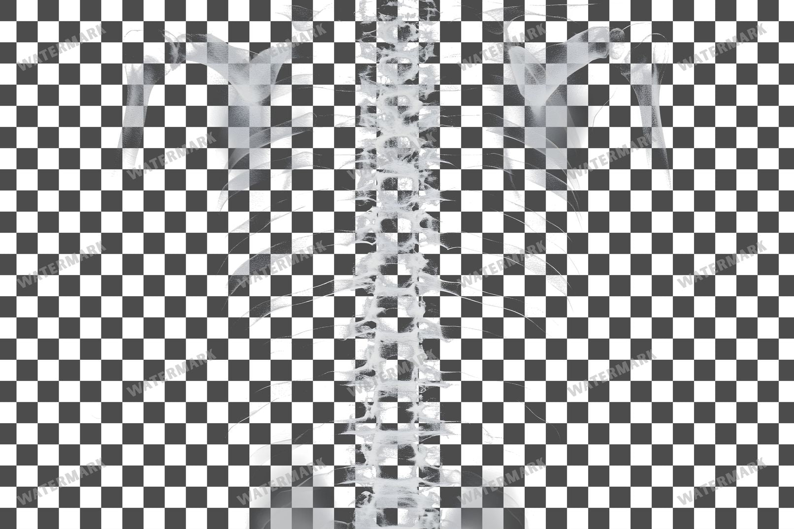 X-Ray Transparent Overlay Pngs