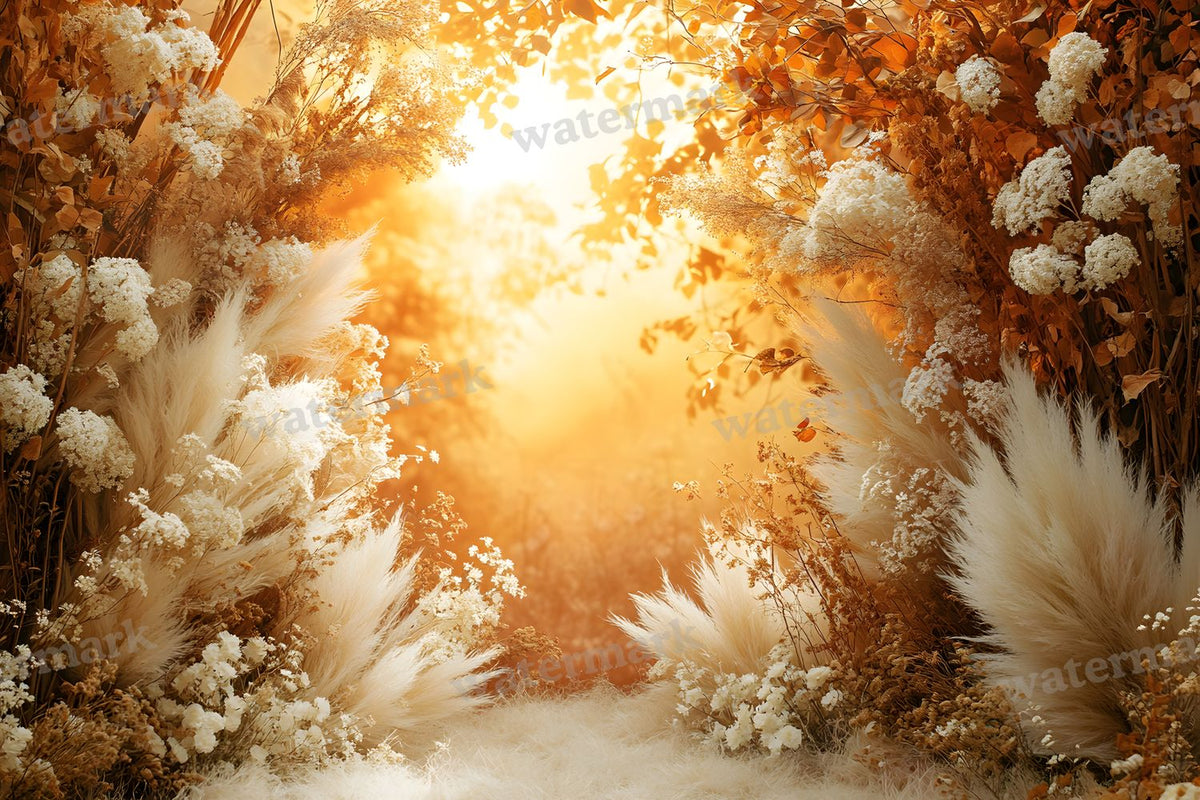 Boho Sunset Arch Backdrop Images