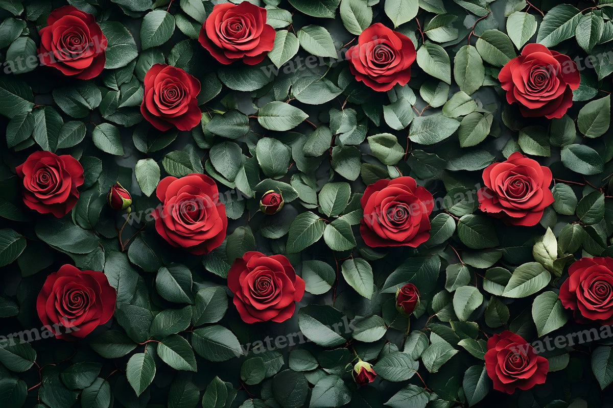 Burgundy Rose Arrangement Backdrop Images