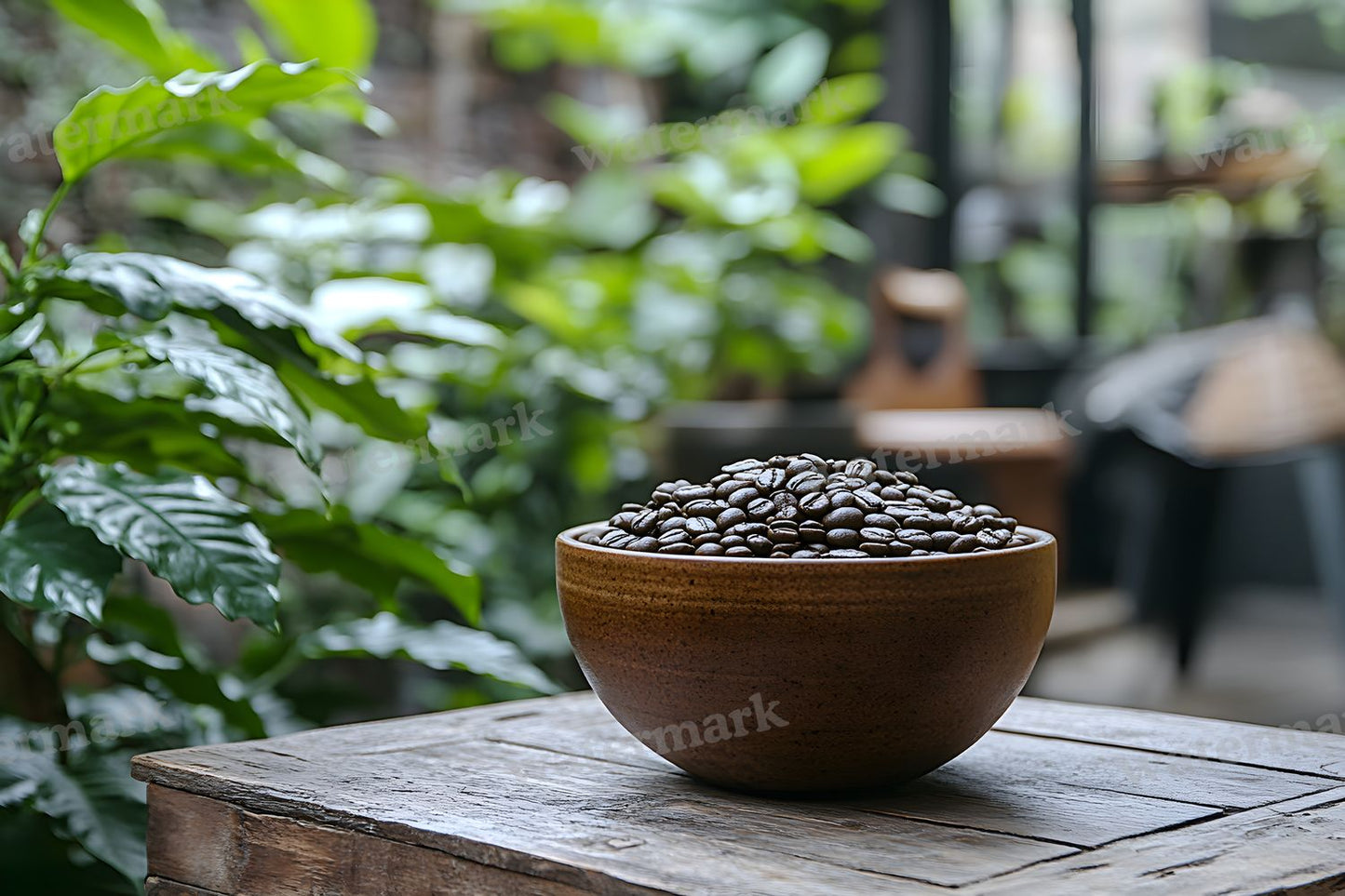Coffee Shop Setting Backdrop Images