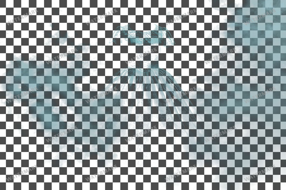 Dress Surrounded Transparent Overlay Pngs