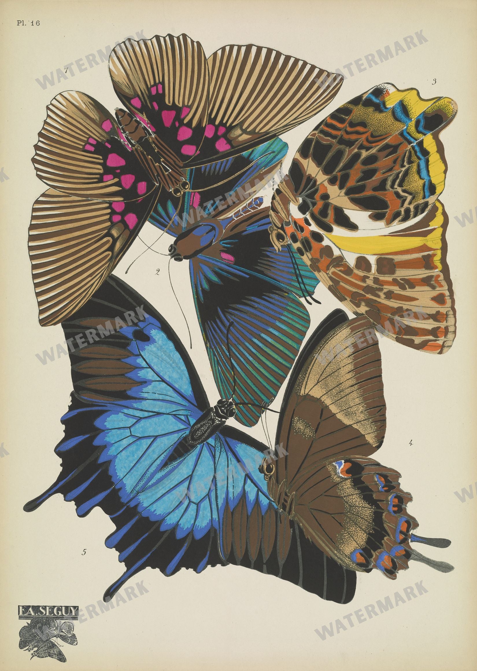 E A Seguy Vintage Prints