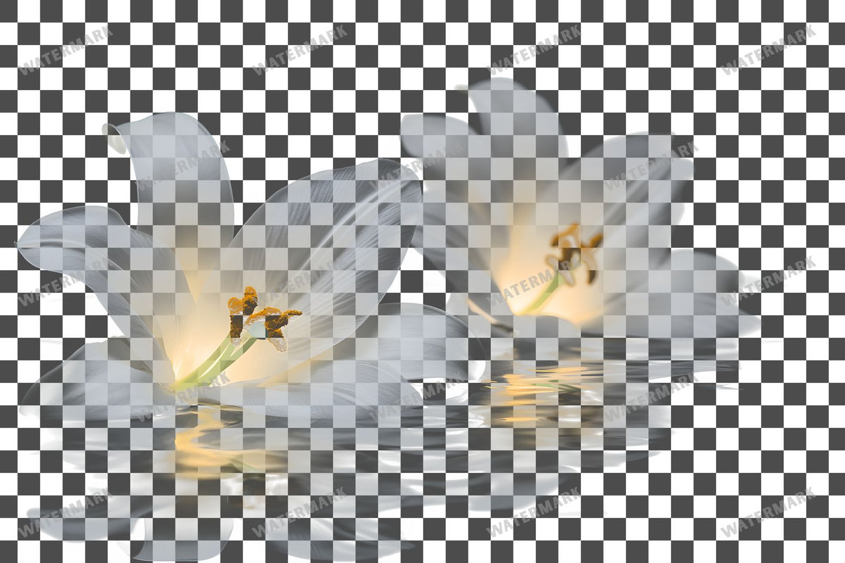 Easter Lilies Transparent Overlay Pngs