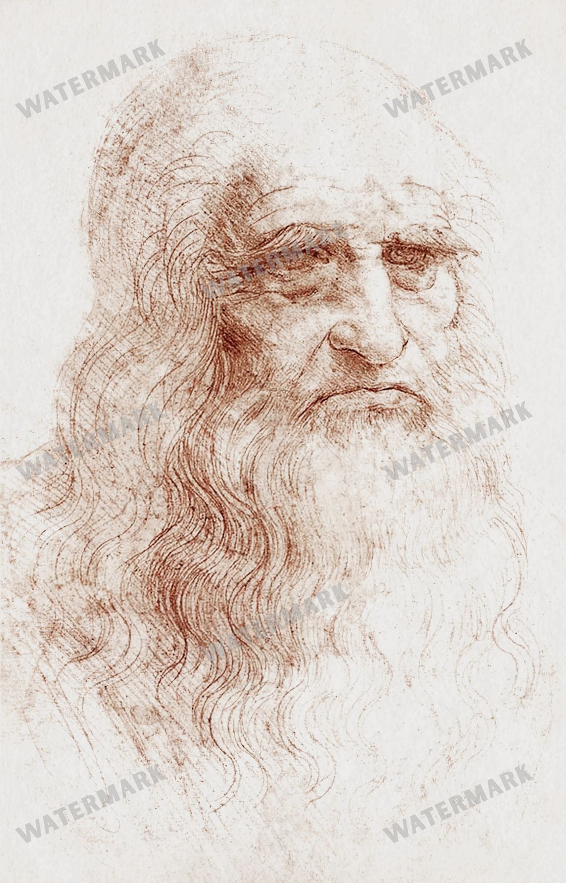 Leonardo Da Vinci Vintage Paintings