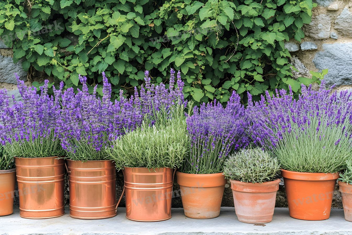 Meticulouvictorian Garden Backdrop Images