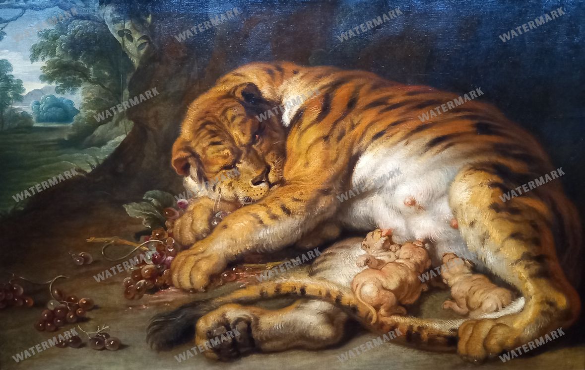 Peter Paul Rubens Vintage Paintings