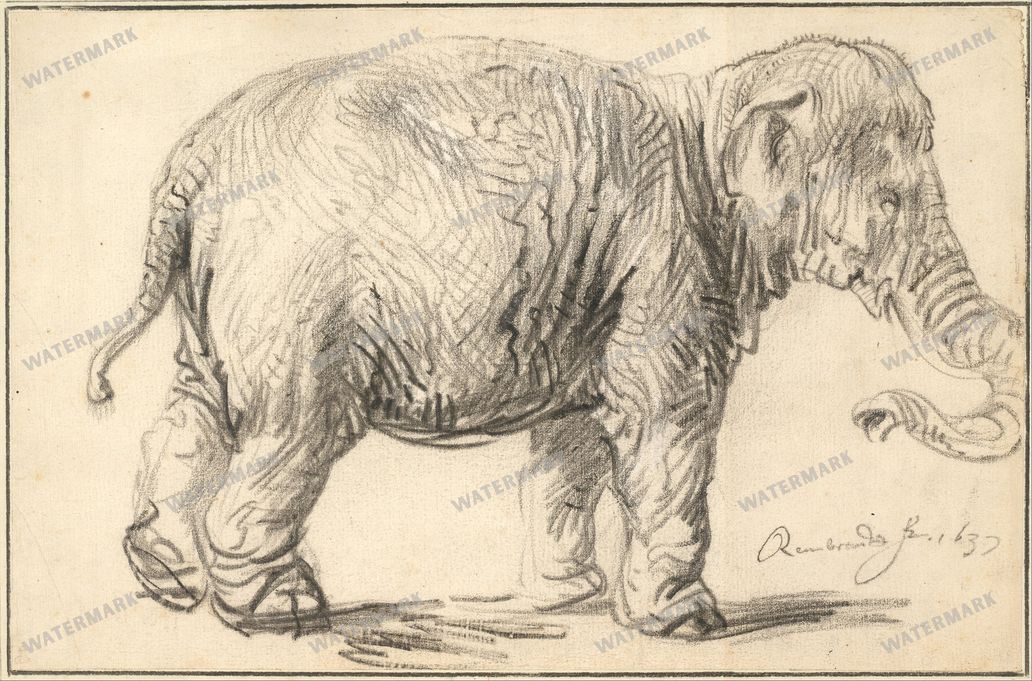 Rembrandt Van Rijn Vintage Paintings