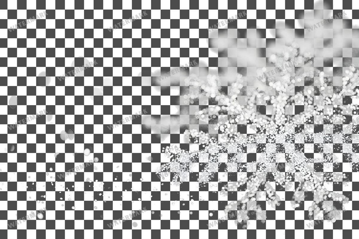 Snow Flake Overlay Lots