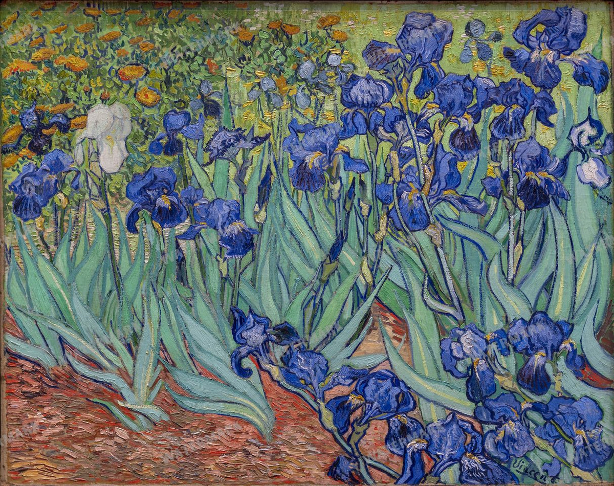 Vincent Willem Van Gogh Vintage Paintings