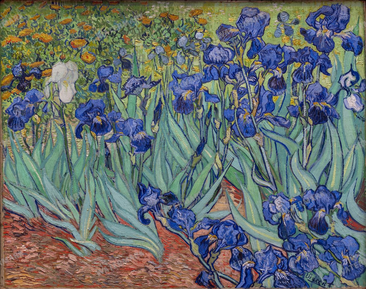 Vincent Willem Van Gogh Vintage Paintings