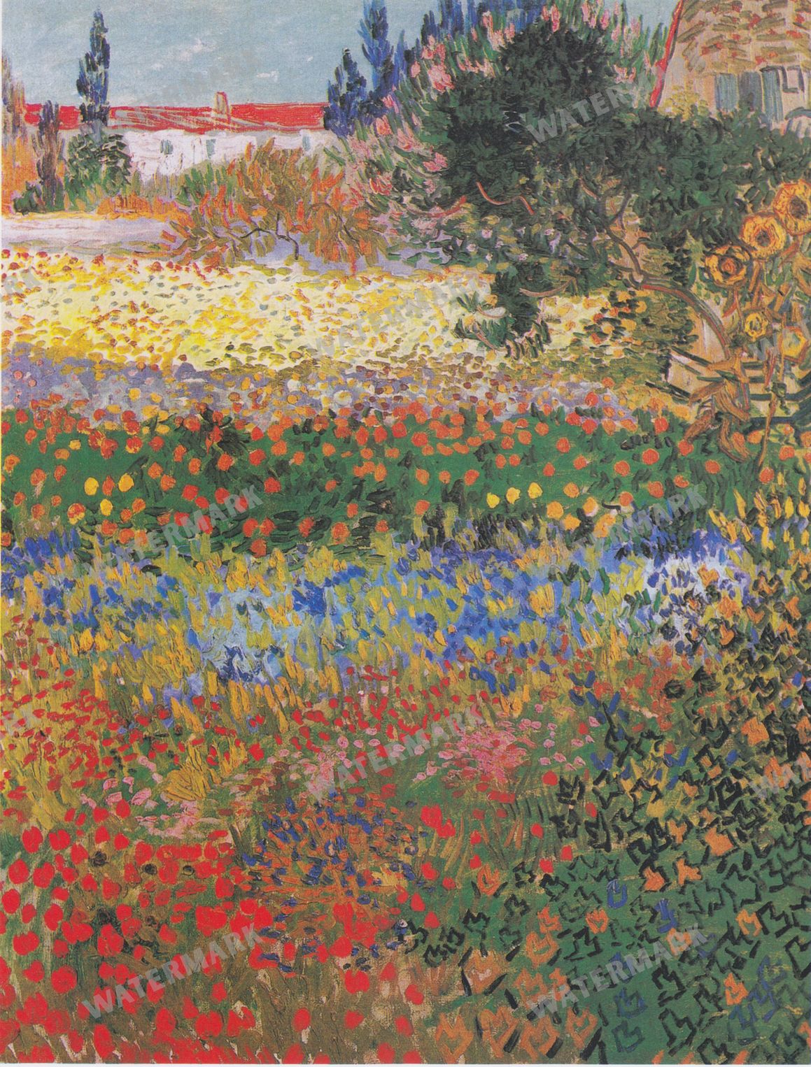 Vincent Willem Van Gogh Vintage Paintings