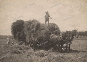 Vintage Photography Vintage Prints