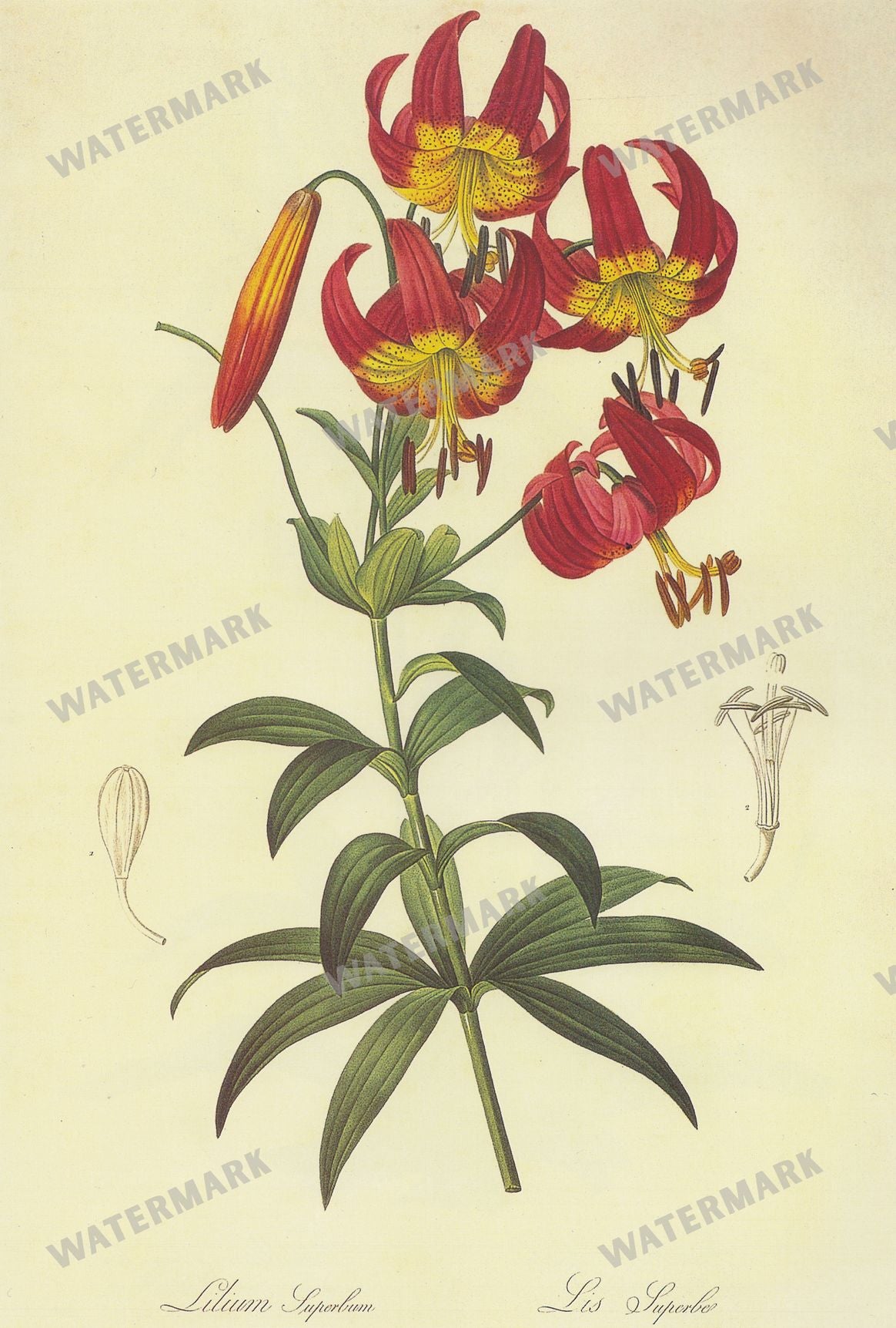 Wall Art Vintage Paintings