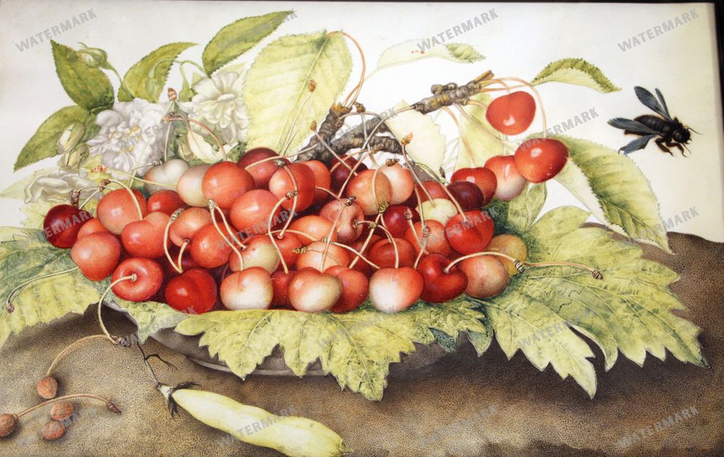 Wall Art Vintage Paintings