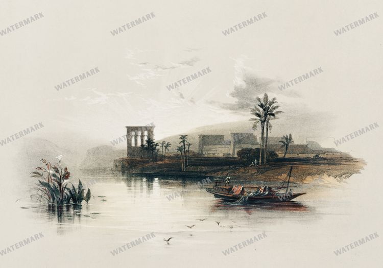 Wall Art Vintage Paintings