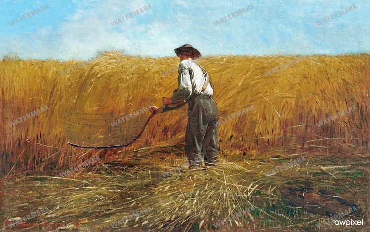 Winslow Homer Vintage Paintings