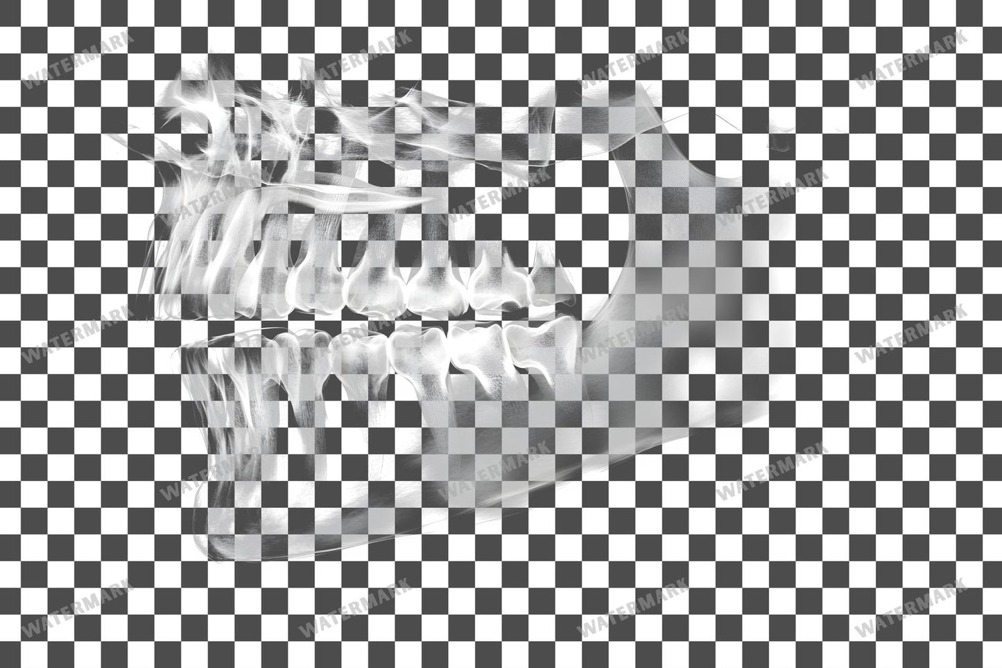 X-Ray Transparent Overlay Pngs