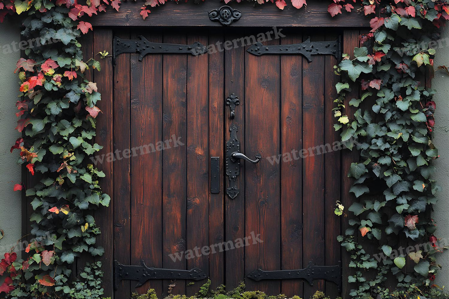 Aged Rustic Wood Door Backdrop Images