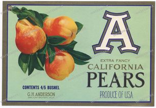 Ads Vintage Prints