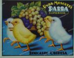 Ads Vintage Prints