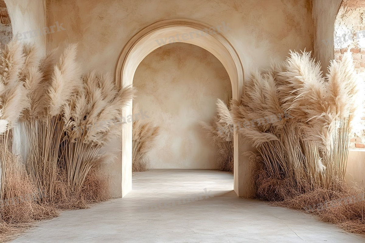 Boho Beige Arch Backdrop Images
