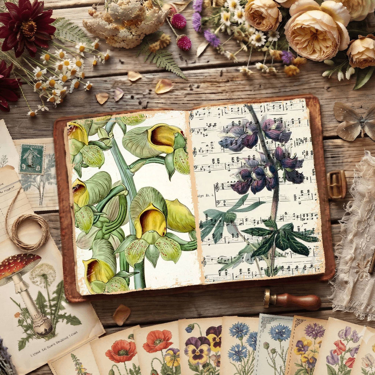 Botanical Illustrations Digital Papers