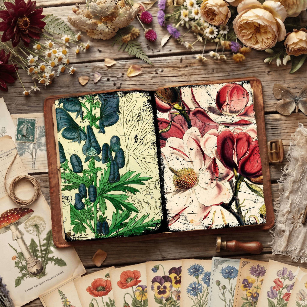 Botanical Illustrations Digital Papers