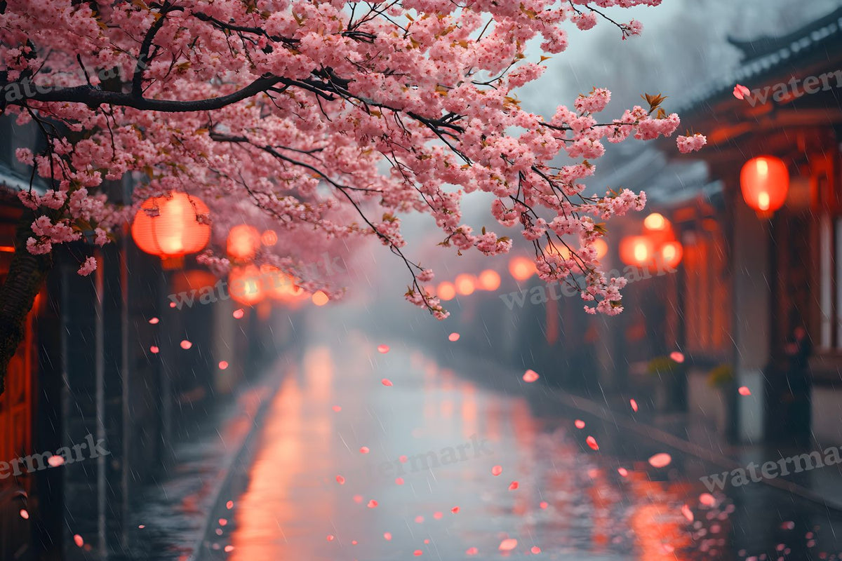 Cherry Blossom Serenity Backdrop Images