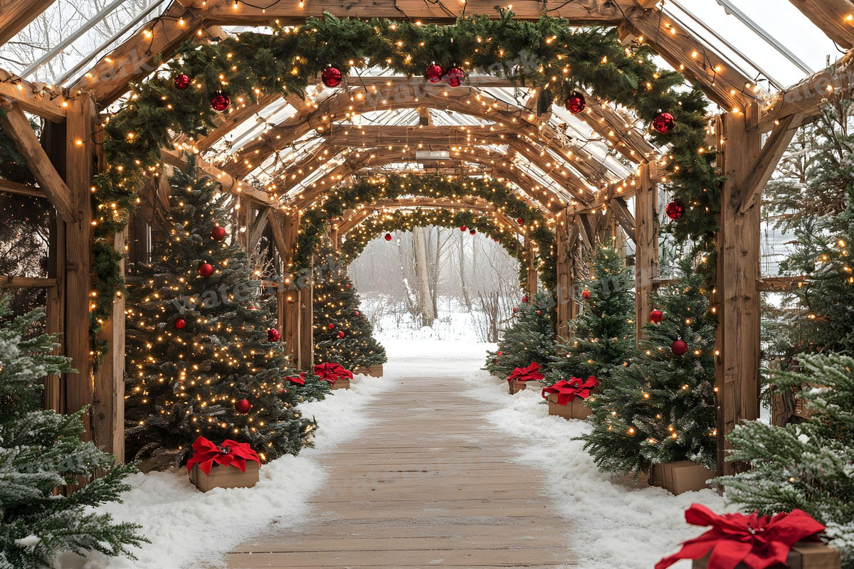 Classic Christmas Backdrop Images