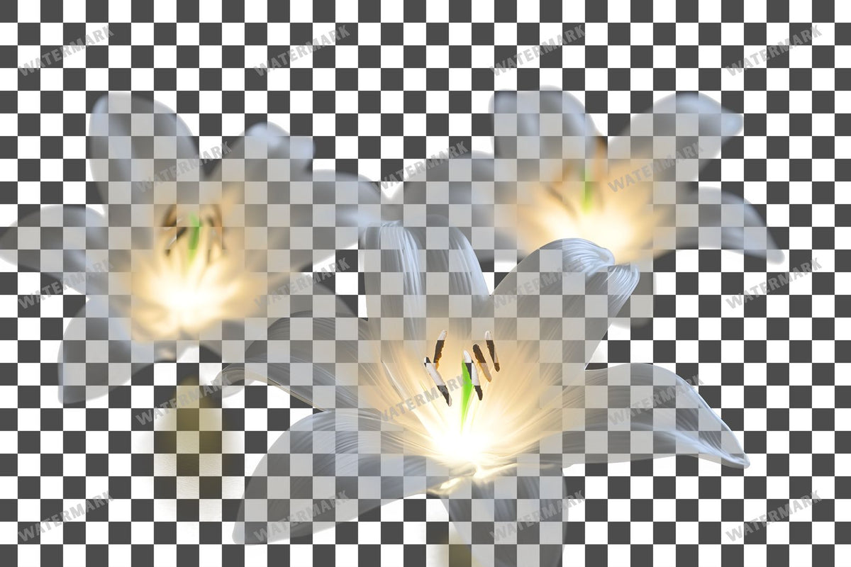 Easter Lilies Transparent Overlay Pngs