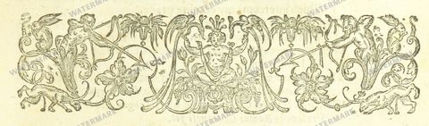 Fauna Vintage Prints