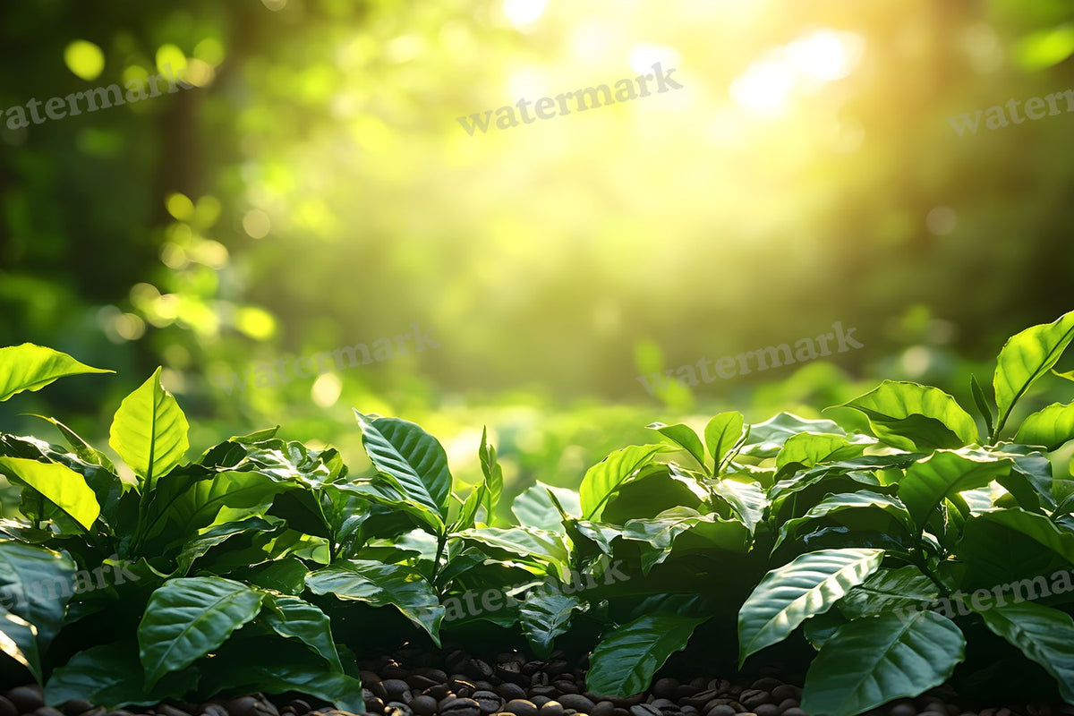 Magical Coffee digital photo backdrop for photo editing, preview 12