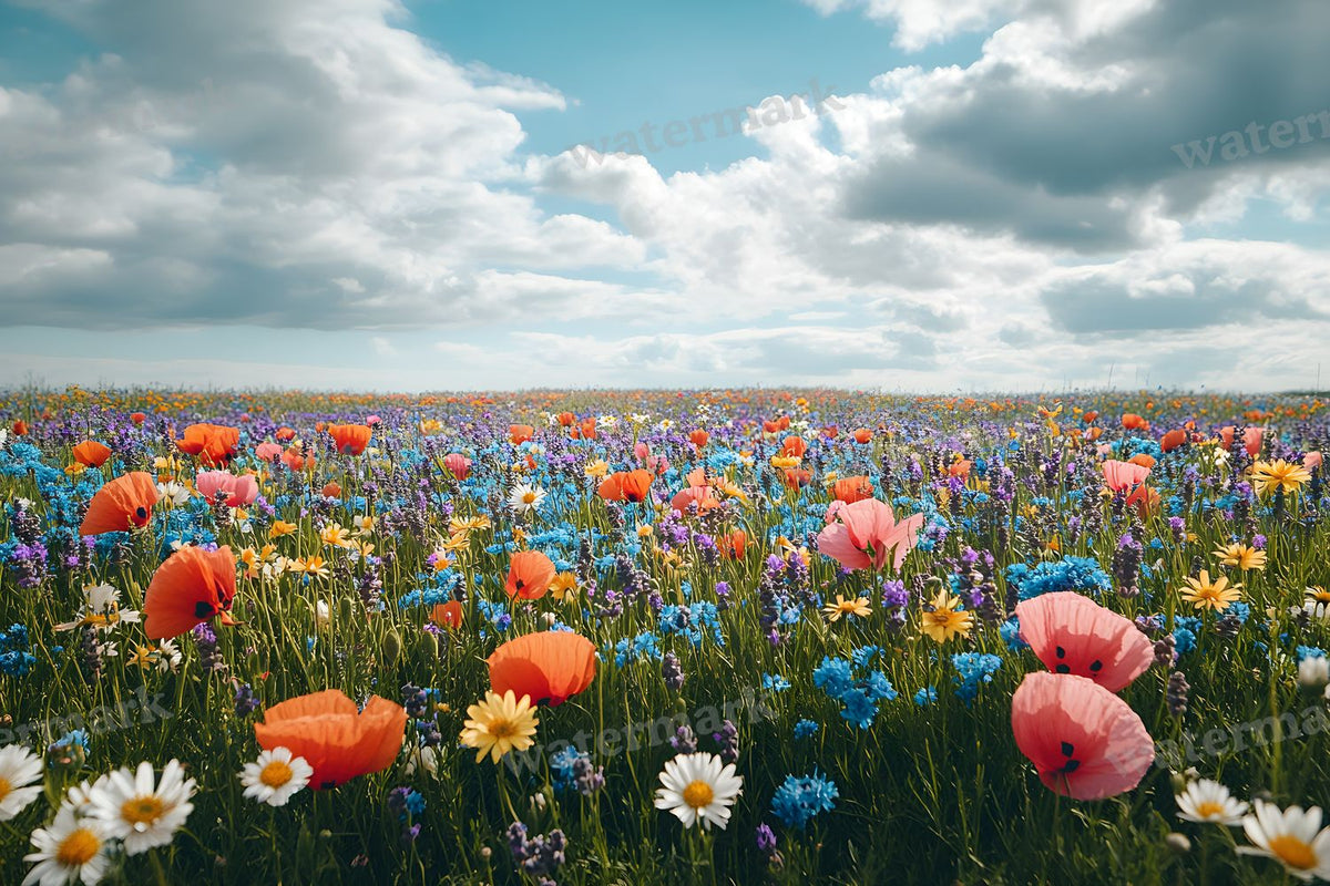 Meadow Bliss digital photo backdrop for photo editing, preview 12