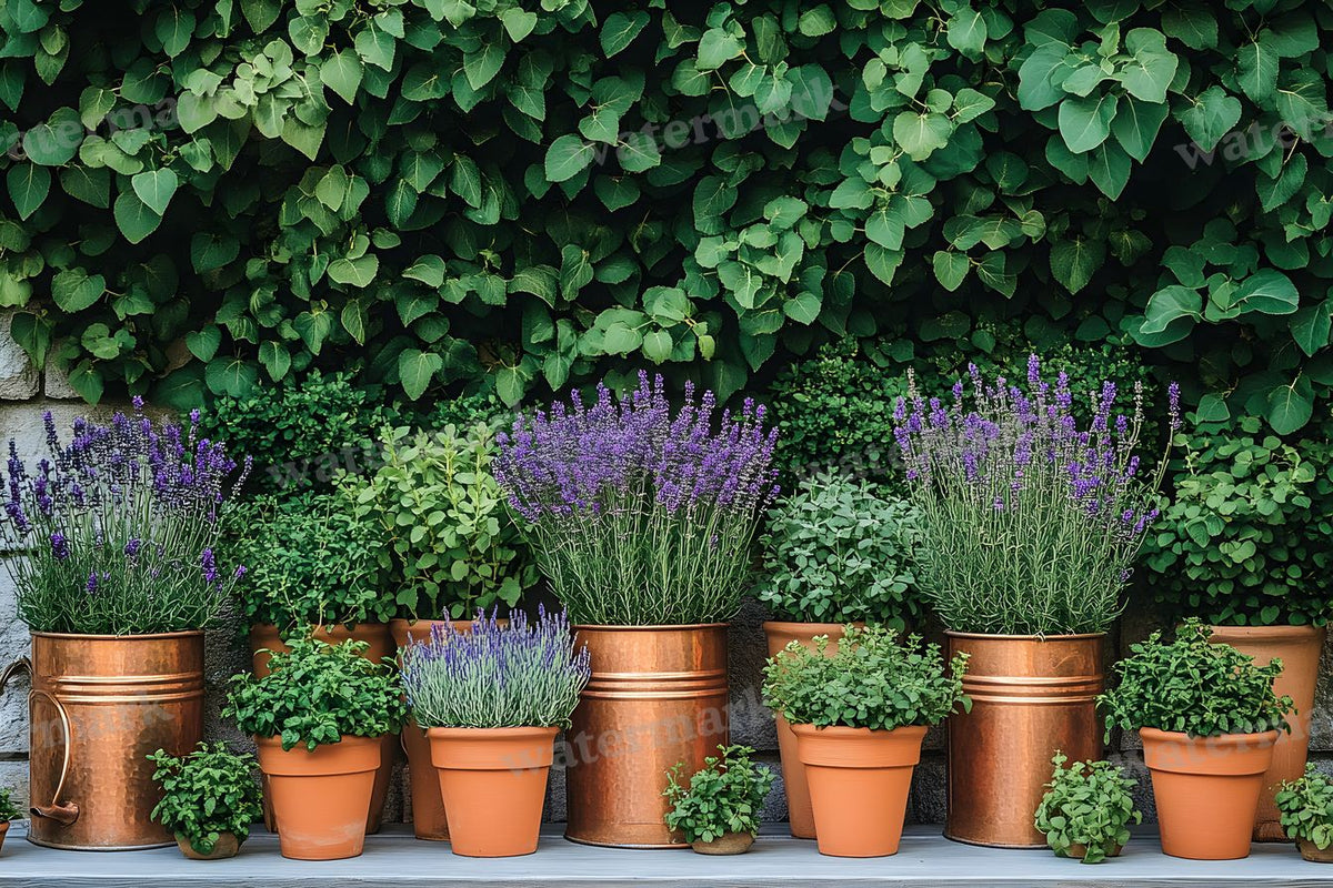 Meticulouvictorian Garden Backdrop Images