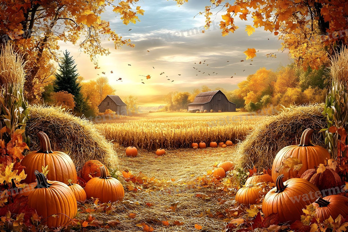 Autumn Harvest Backdrop Images