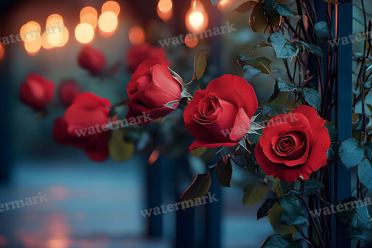 Romantic Valentine Pov Backdrop Images